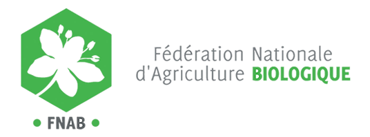 Wiki Logo